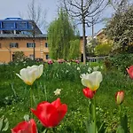 Golden Flat By Grazrentals Terrace & Garden View & Free Parking Apartman Graz